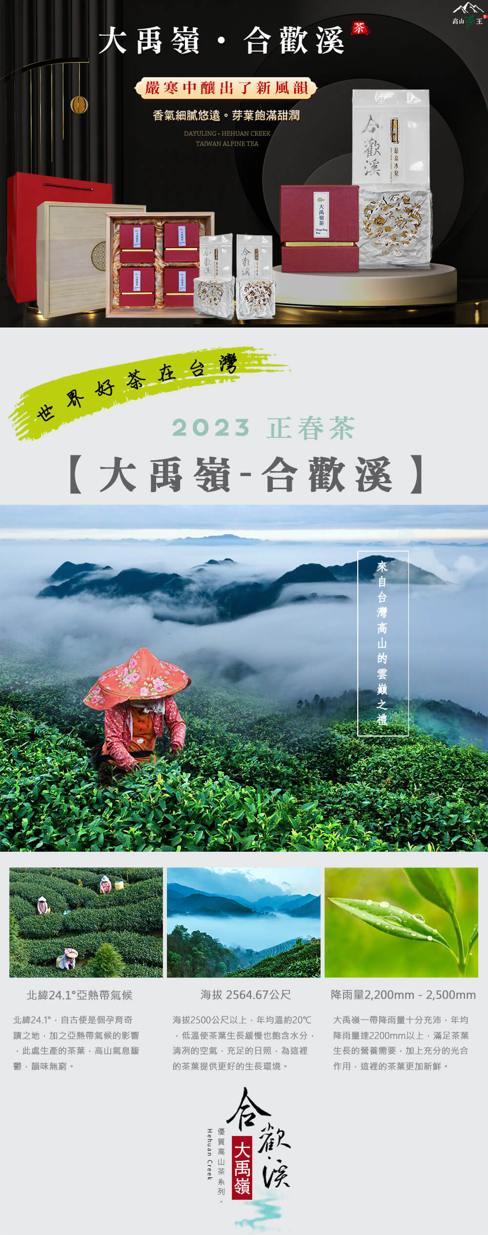 大禹嶺．合歡溪】2023 春茶- 高山茶王｜群山之嶺的贈禮，來自台灣！