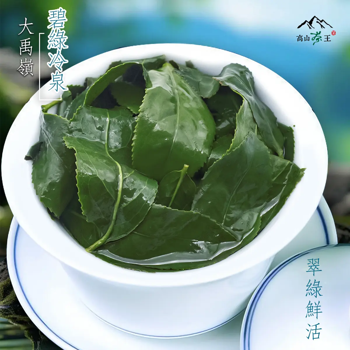 碧綠冷泉 葉