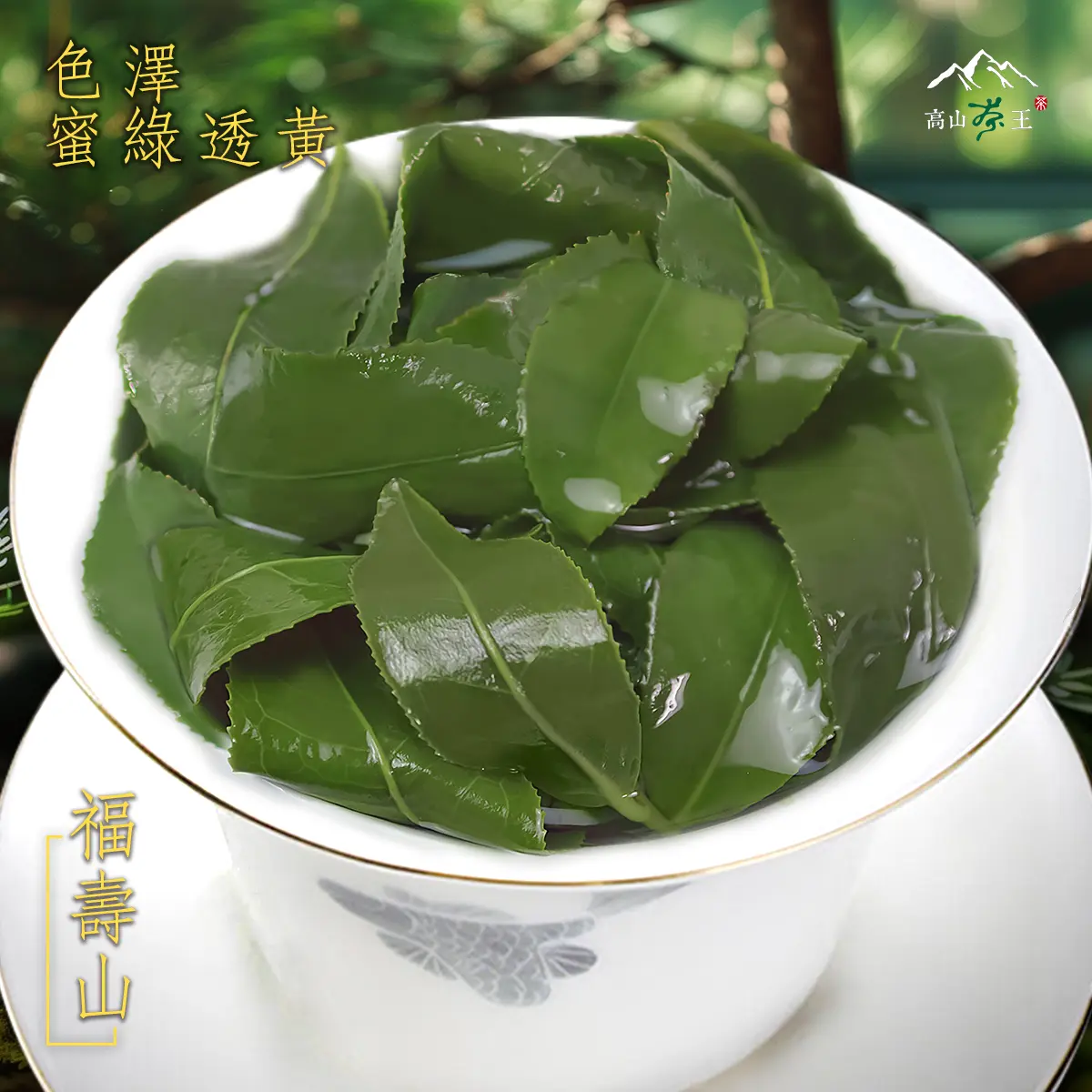 福壽山 葉