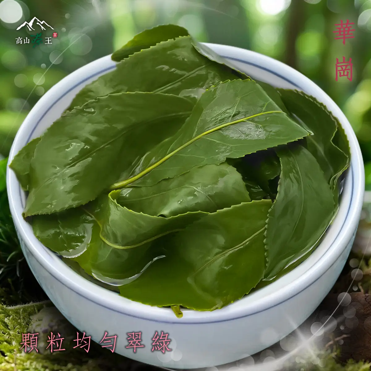 華崗 葉