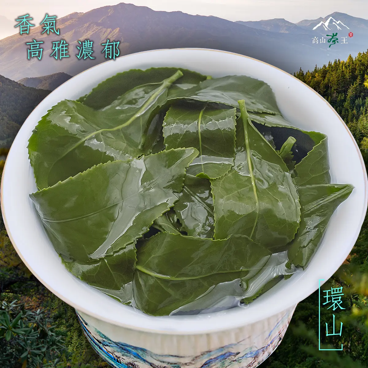 環山 葉