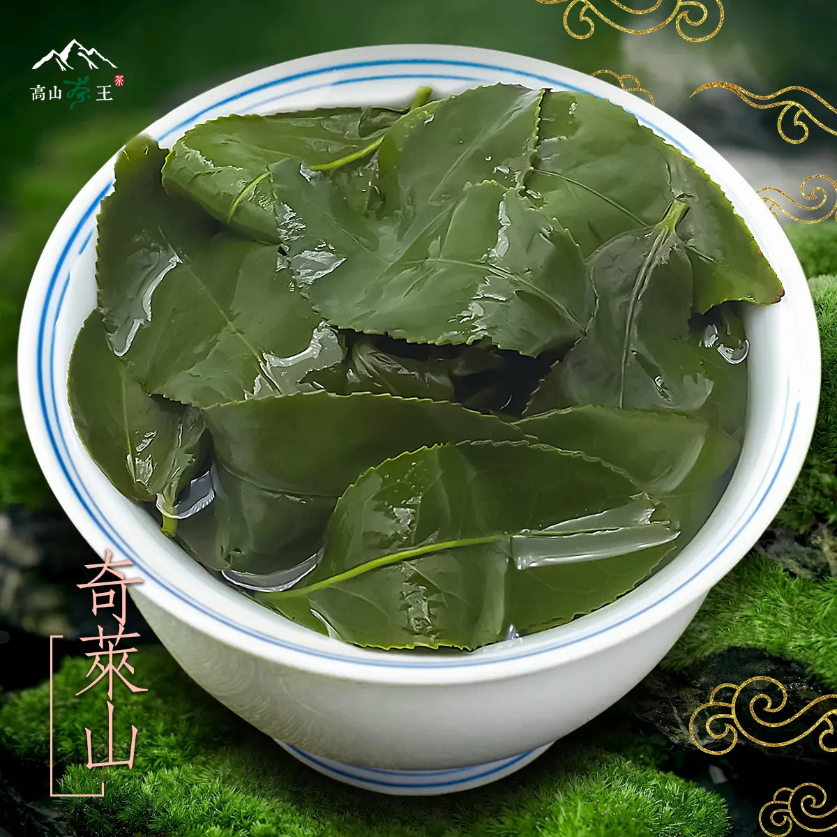 奇萊山 葉