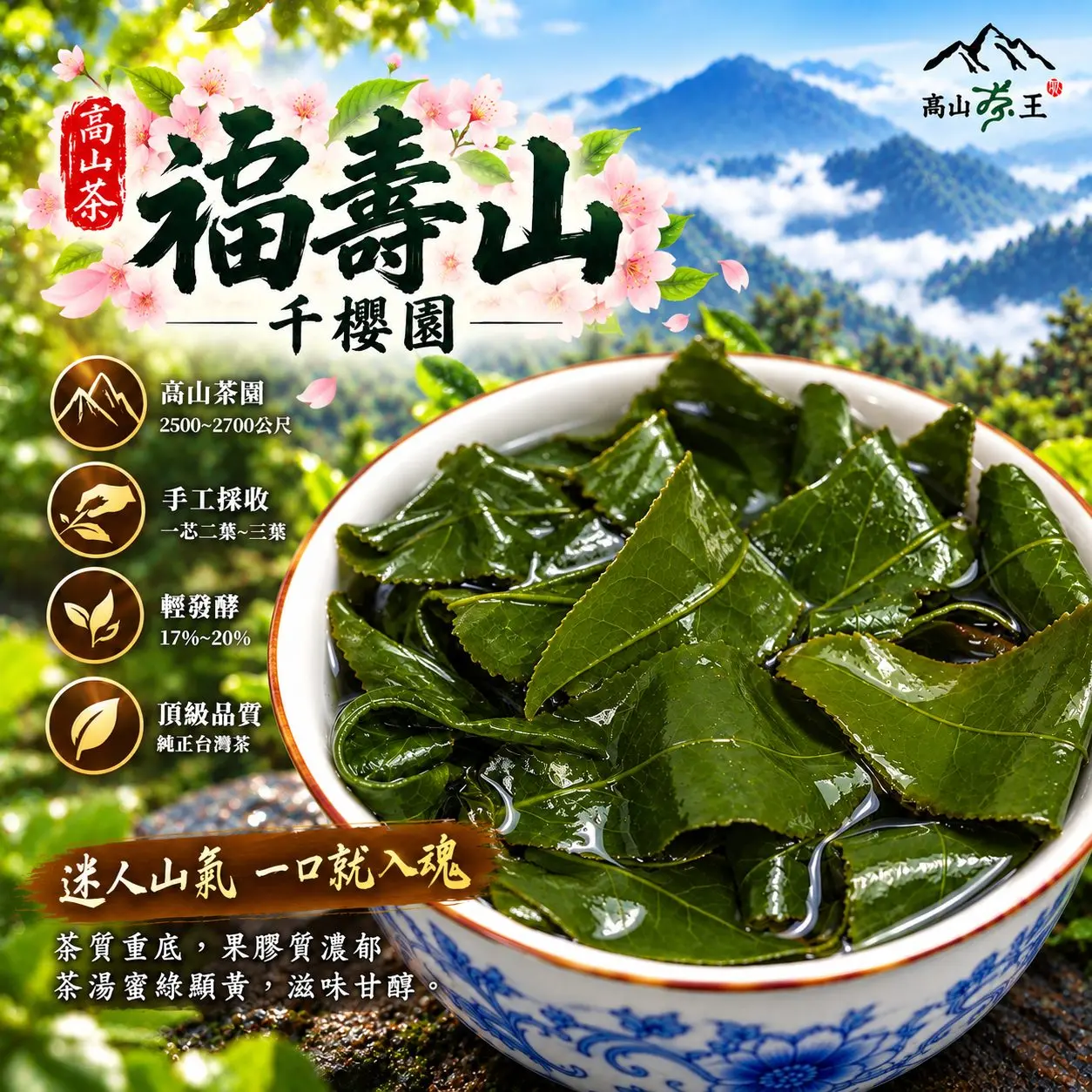 福壽山茶葉海報 3 福壽山茶葉海報 3