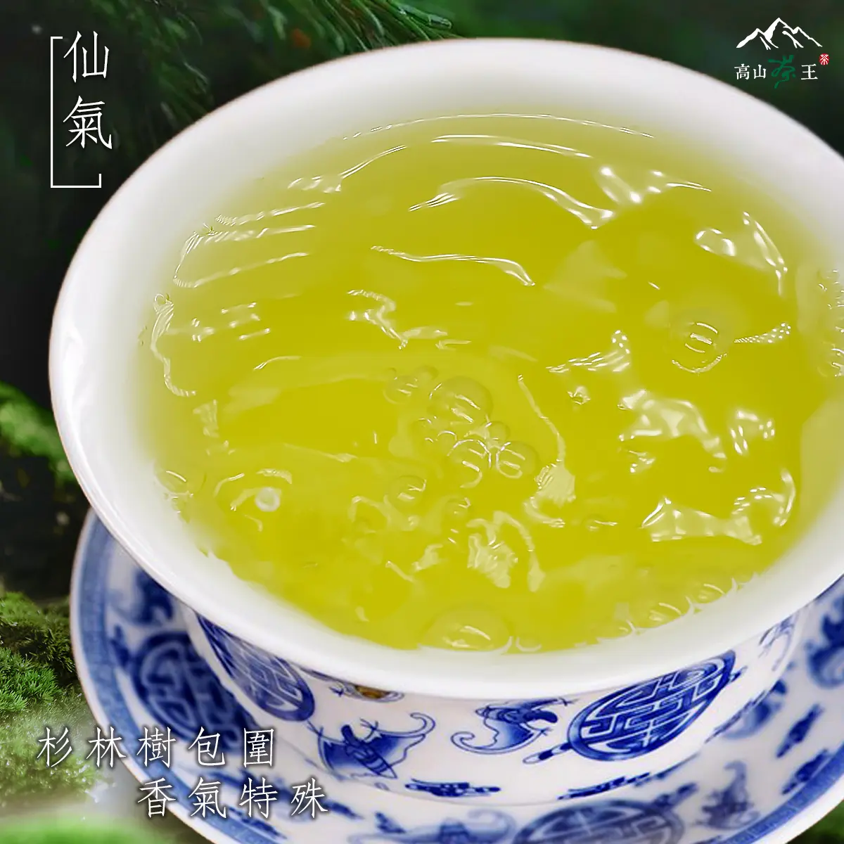 仙氣 湯
