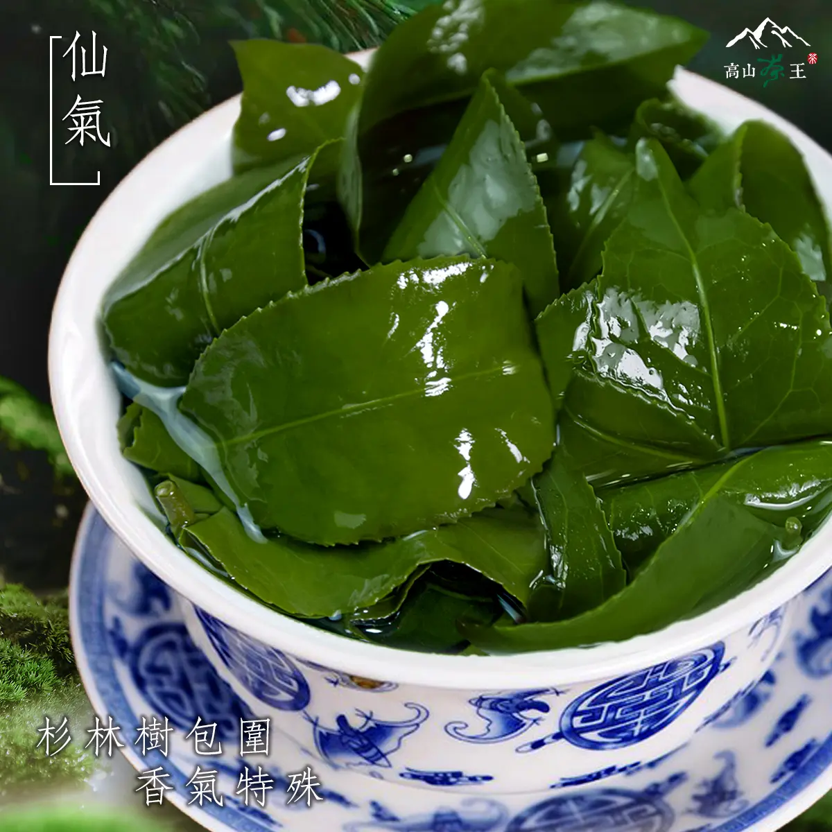 仙氣 葉