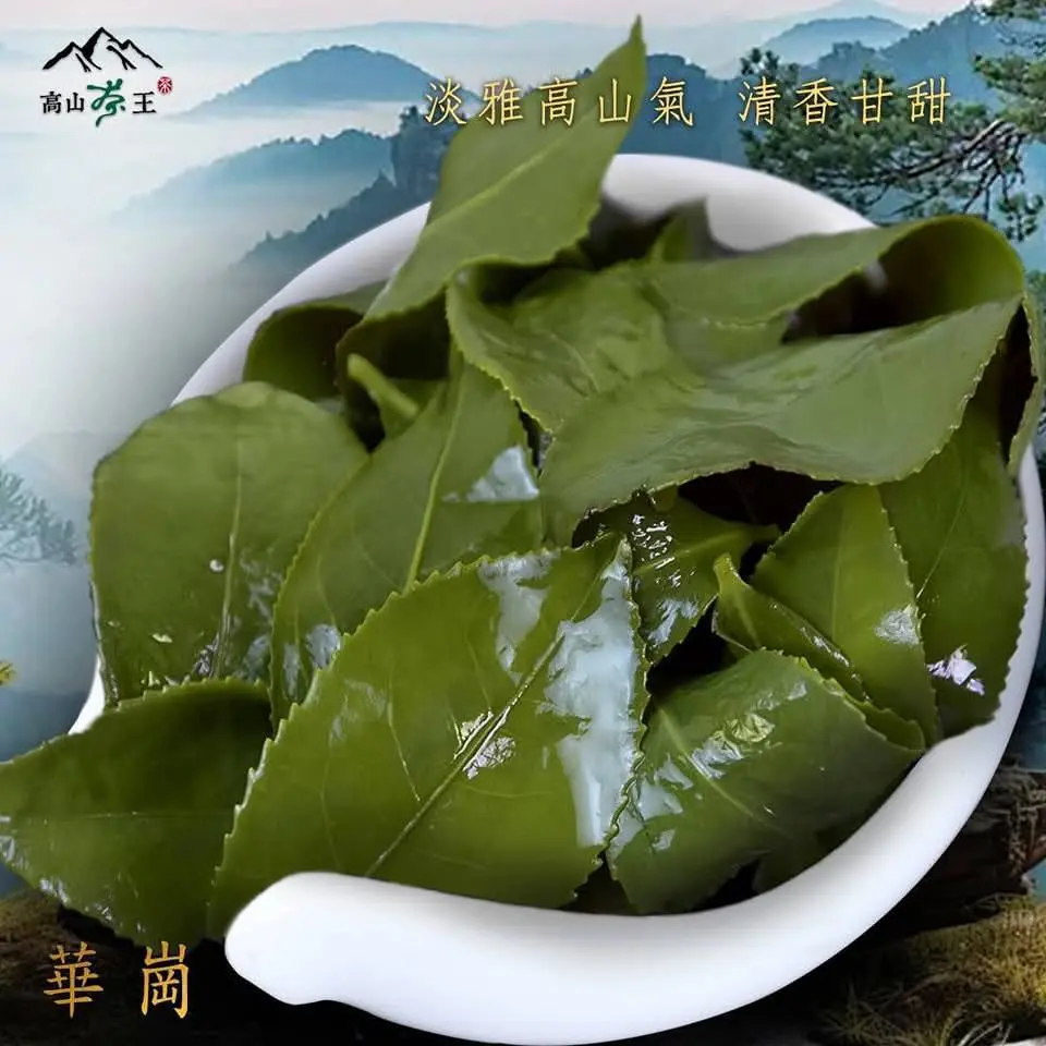 565694622 844179017939646 2861682792620021999 N