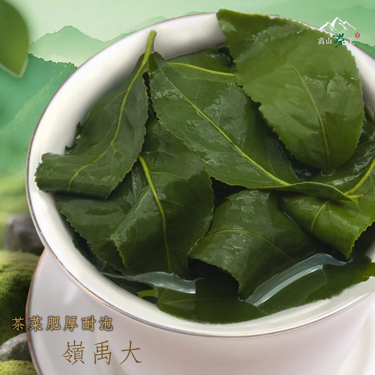 大禹嶺 葉 大禹嶺 葉