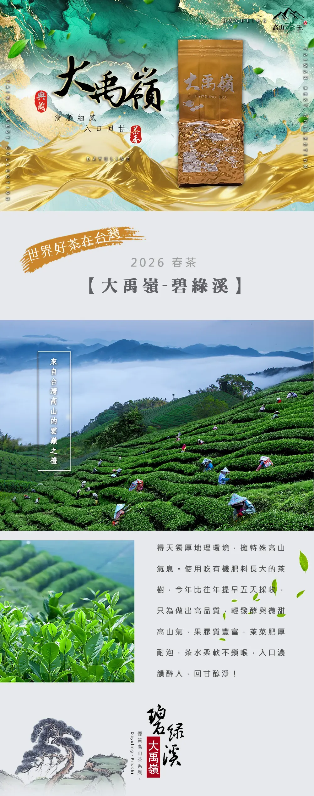 大禹嶺碧綠溪 展示圖