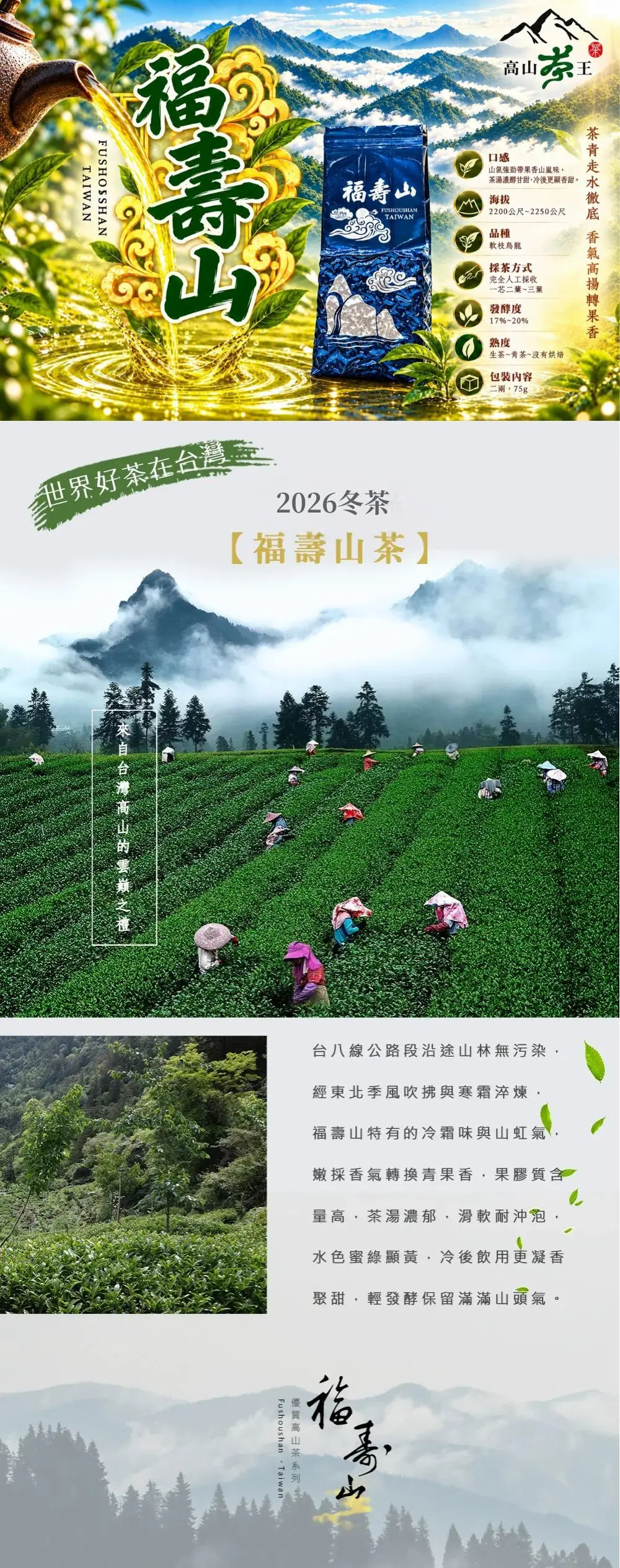 福壽山茶