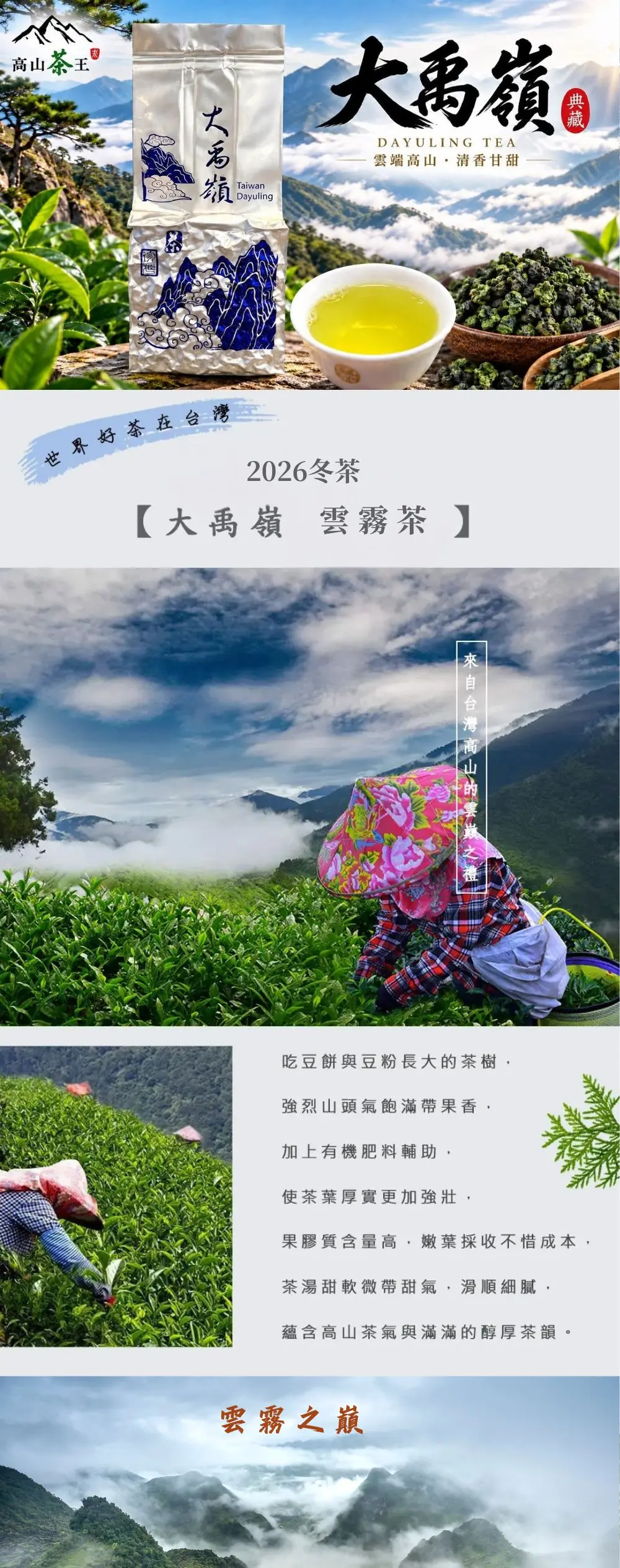雲霧茶